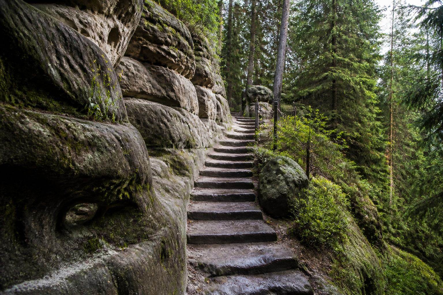 Steinerne Stufen und Waldpfad in der Sächsischen Schweiz